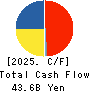 Dexerials Corporation Cash Flow Statement 2025年3月期