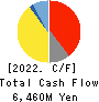 NIPPON CHEMI-CON CORPORATION Cash Flow Statement 2022年3月期