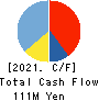 SecondXight Analytica,Inc. Cash Flow Statement 2021年3月期