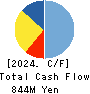 DAISHIN CHEMICAL CO.,LTD. Cash Flow Statement 2024年3月期