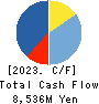 Ichigo Inc. Cash Flow Statement 2023年2月期