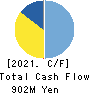 TENOX CORPORATION Cash Flow Statement 2021年3月期