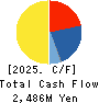 CELM,Inc. Cash Flow Statement 2025年3月期