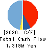 FLIGHT HOLDINGS Inc. Cash Flow Statement 2020年3月期