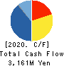 DAIDOH LIMITED Cash Flow Statement 2020年3月期
