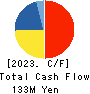 HOSOYA PYRO-ENGINEERING CO.,LTD. Cash Flow Statement 2023年3月期