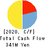 Bengo4.com,Inc. Cash Flow Statement 2020年3月期
