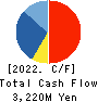 DAIKOKU DENKI CO.,LTD. Cash Flow Statement 2022年Mar期 DAIKOKU DENKI CO.,LTD. Cash Flow Statement 2022年3月期