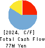 Image Information Inc. Cash Flow Statement 2024年3月期