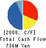 HIGASHIYAMA FILM CO., LTD. Cash Flow Statement 2008年12月期