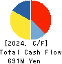 SMN Corporation Cash Flow Statement 2024年3月期