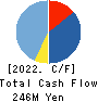 Birdman Inc. Cash Flow Statement 2022年6月期