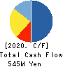 BROAD ENTERPRISE CO.,LTD. Cash Flow Statement 2020年12月期