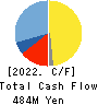 amana inc. Cash Flow Statement 2022年12月期