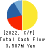 TAYA Co.,Ltd. Cash Flow Statement 2022年3月期