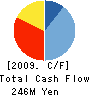 DIGITALSCAPE Co.,Ltd. Cash Flow Statement 2009年3月期