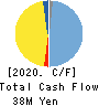 CLUSTER TECHNOLOGY CO., LTD. Cash Flow Statement 2020年3月期