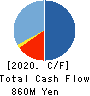 Alue Co.,Ltd. Cash Flow Statement 2020年12月期
