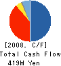 DesignEXchange Co.,Ltd. Cash Flow Statement 2008年12月期