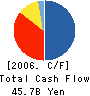 RISA Partners,Inc. Cash Flow Statement 2006年12月期