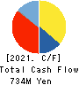Metaplanet Inc. Cash Flow Statement 2021年12月期