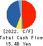 Central Glass Co.,Ltd. Cash Flow Statement 2022年3月期