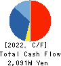 Ichiyoshi Securities Co.,Ltd. Cash Flow Statement 2022年3月期