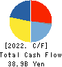 YAMADA HOLDINGS CO.,LTD. Cash Flow Statement 2022年3月期