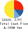 Yamatane Corporation Cash Flow Statement 2020年3月期