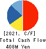 AISANTECHNOLOGY CO.,LTD. Cash Flow Statement 2021年3月期