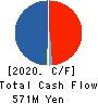 NAKANIPPON CASTING CO.,LTD. Cash Flow Statement 2020年3月期
