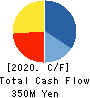 Virtualex Holdings,Inc. Cash Flow Statement 2020年3月期