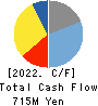 THine Electronics,Inc. Cash Flow Statement 2022年12月期