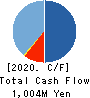 D.Western Therapeutics Institute, Inc. Cash Flow Statement 2020年12月期