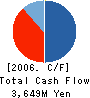 ARAIGUMI CO.,LTD. Cash Flow Statement 2006年12月期