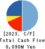 VITAL KSK HOLDINGS,INC. Cash Flow Statement 2023年3月期