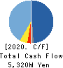MARUBUN CORPORATION Cash Flow Statement 2020年3月期