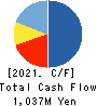 NF HOLDINGS CORPORATION Cash Flow Statement 2021年3月期