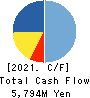 TSUKADA GLOBAL HOLDINGS Inc. Cash Flow Statement 2021年12月期