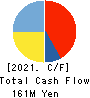 True Data Inc. Cash Flow Statement 2021年3月期