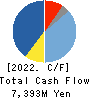 V Technology Co.,Ltd. Cash Flow Statement 2022年3月期