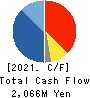 istyle Inc. Cash Flow Statement 2021年6月期