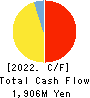 Densan System Holdings Co.,Ltd. Cash Flow Statement 2022年12月期