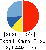Central Forest Group, Inc. Cash Flow Statement 2020年12月期