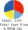 CELSYS,Inc. Cash Flow Statement 2023年12月期