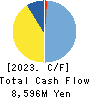 RIZAP GROUP,Inc. Cash Flow Statement 2023年Mar期 RIZAP GROUP,Inc. Cash Flow Statement 2023年3月期