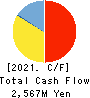 ZIGExN Co.,Ltd. Cash Flow Statement 2021年3月期