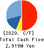 Shinnihonseiyaku Co.,Ltd. Cash Flow Statement 2020年9月期