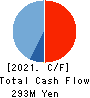 WDB coco CO.,LTD. Cash Flow Statement 2021年3月期
