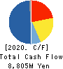 Japan Asia Group Limited Cash Flow Statement 2020年3月期